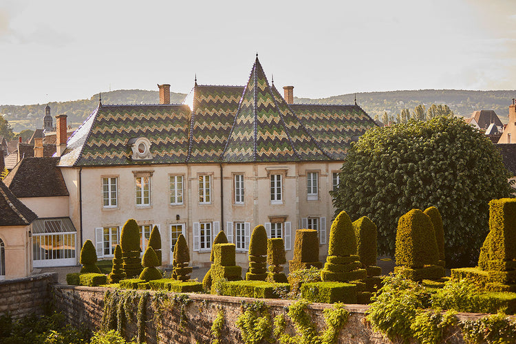 Bouchard Père &amp; Fils – Sommelierernes Bourgogne-favorit