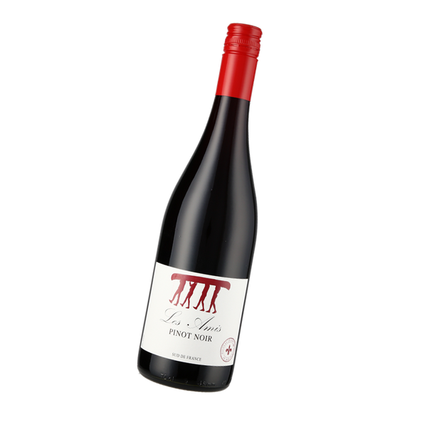 Maison Idiart, Les Amis Pinot Noir, 2023 - Bottle Hero