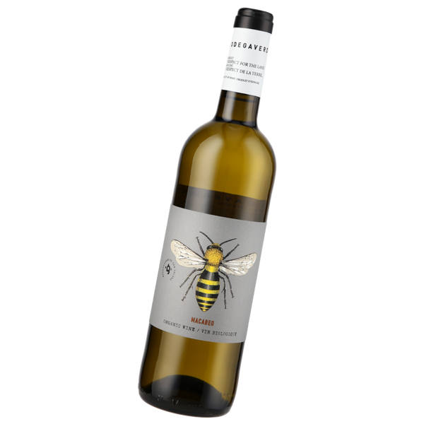 Bodegas San Valero, BodegaVerde Bee Macabeo, 2024 - Bottle Hero