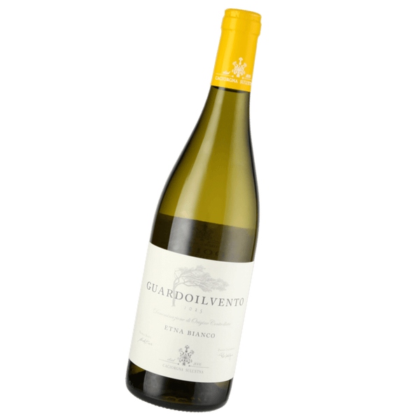 Tenute Pietro Caciorgna, Caciorgna Guardoilvento Etna Bianco, 2025 - Bottle Hero