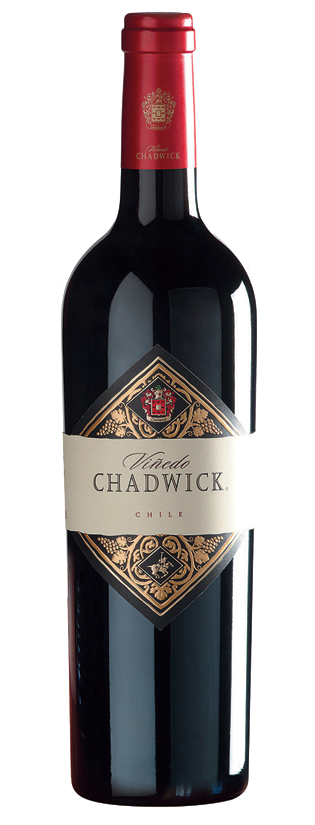 2022 Vinedo Chadwick - Bottle Hero