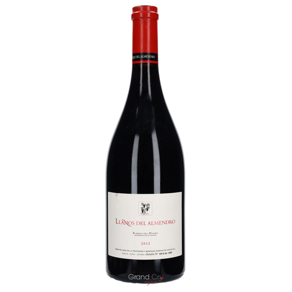 2016 Dominio de Atauta Llanos del Almendro - Bottle Hero