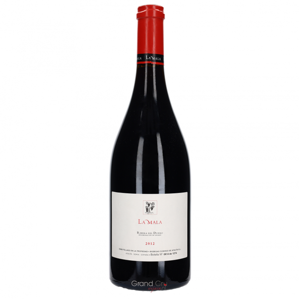 2013 Dominio de Atauta La Mala - Bottle Hero
