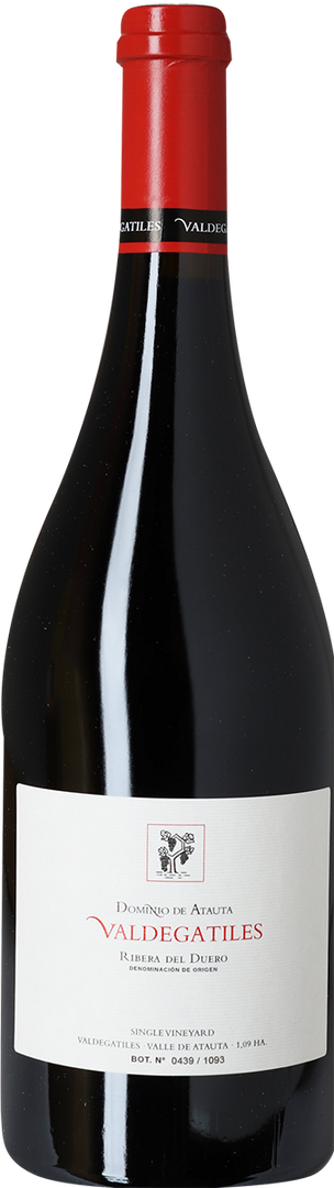 2013 Valdegatiles, Dominio de Atauta, Ribera del Duero - Bottle Hero