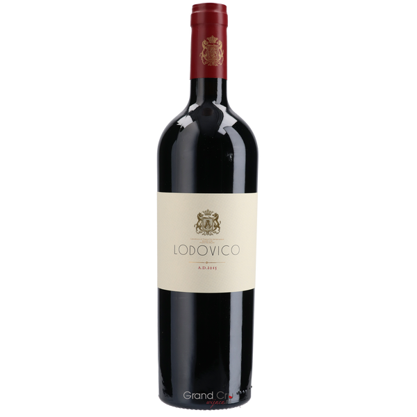 2020 Tenuta di Biserno Lodovico Magnum - Bottle Hero