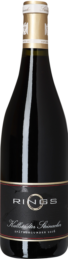 2016 Spätburgunder Kallstadter Steinacker, 1. Lage, Weingut Rings, Pfalz