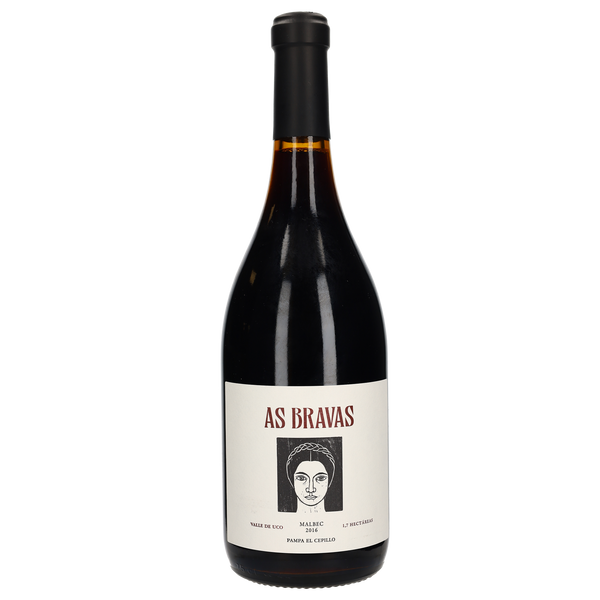 2018 El Enemigo As Bravas Pampa El Cepillo Malbec - Bottle Hero