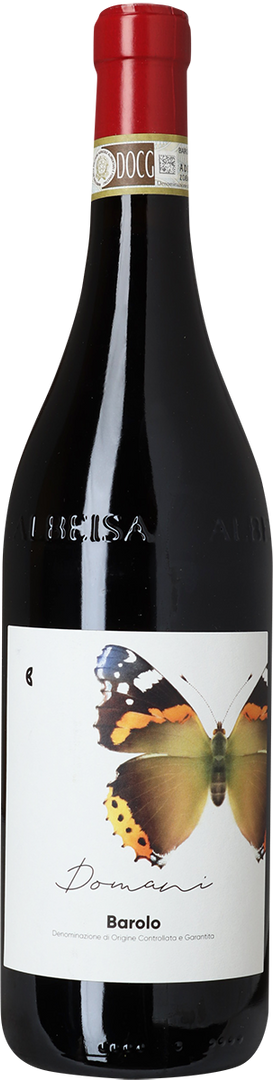 2019 Barolo Domani, Camparo, Piemonte - Bottle Hero