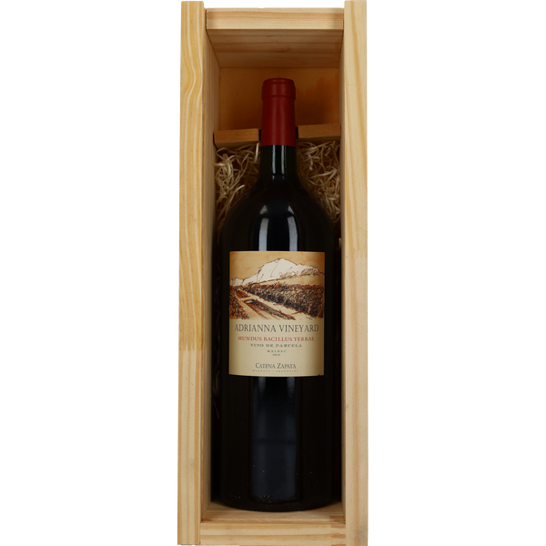 2019 Bodegas Catena Zapata Adrianna Mundus Bacillus Terrae Magnum - Bottle Hero