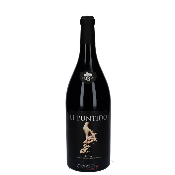 2020 Paganos El Puntido Magnum - Bottle Hero