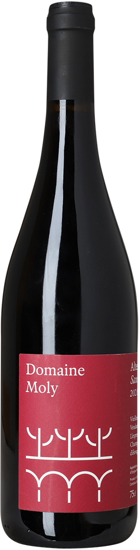 2021 Alter Sybarites Rouge, Saumur-Champigny, Domaine Moly - Bottle Hero