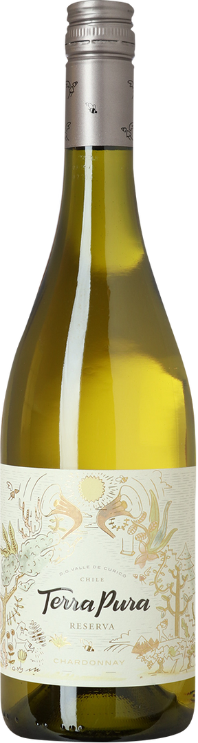 2021 Chardonnay Reserva, Terrapura, Valle de Curicó