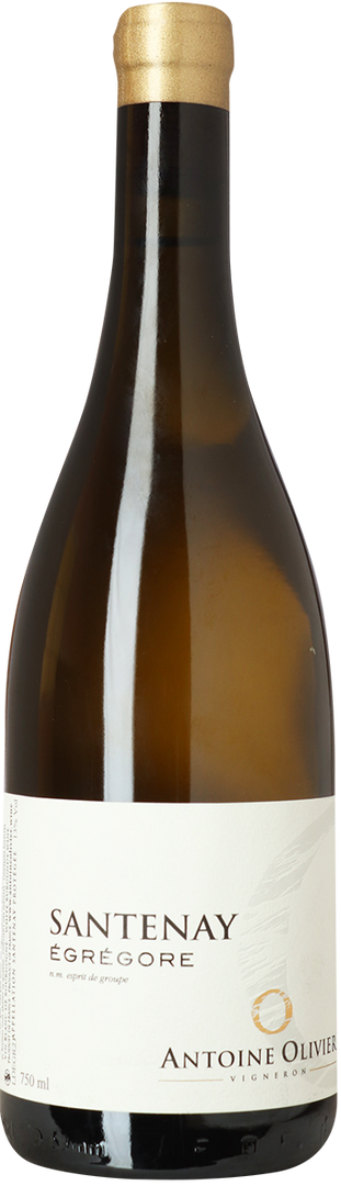 2021 Santenay Égregore, Domaine Antoine Olivier - Bottle Hero
