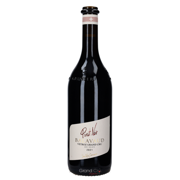 2023 Jean-René Germanier Balavaud Vetroz Grand Cru Pinot Noir - Bottle Hero