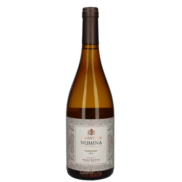 2021 Salentein Numina Chardonnay - Bottle Hero