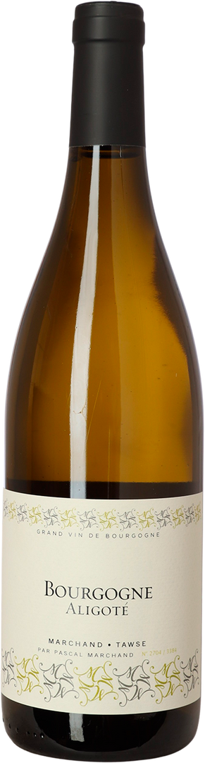 2022 Aligoté, Marchand-Tawse