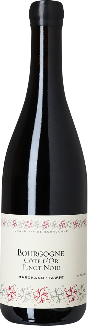 2022 Bourgogne Côte d'Or Pinot Noir Marchand-Tawse - Bottle Hero