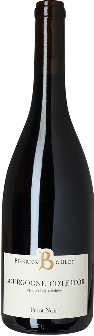 2022 Bourgogne Côte d'Or Pinot Noir, Pierrick Bouley - Bottle Hero