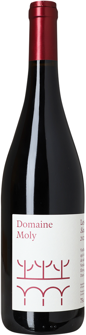 2022 Les Sybarites Rouge, Saumur-Champigny, Domaine Moly - Bottle Hero