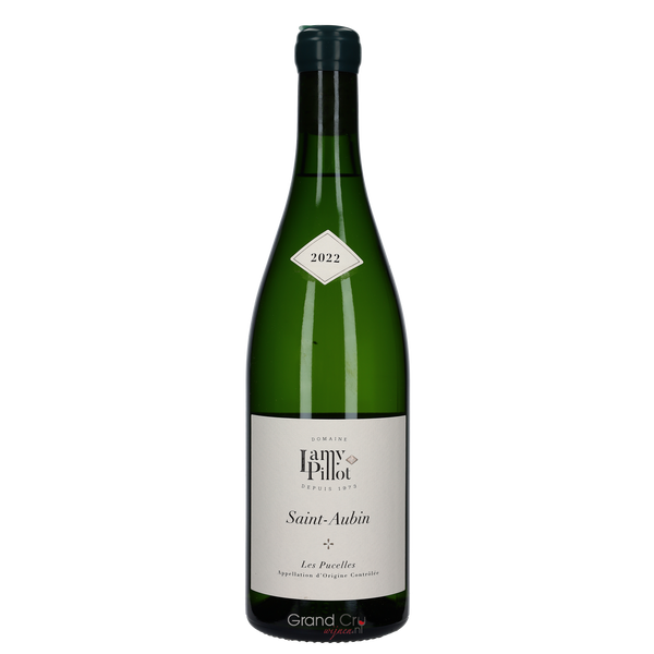 2022 Domaine Lamy-Pillot Saint Aubin Les Pucelles Magnum - Bottle Hero