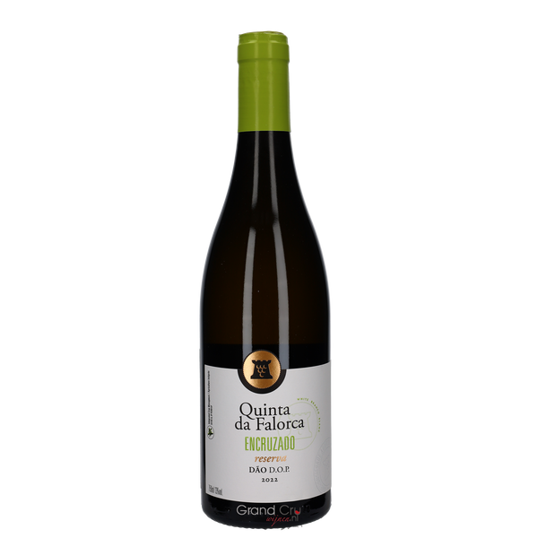 2023 Quinta da Falorca Encruzado Reserva Blanco Magnum - Bottle Hero