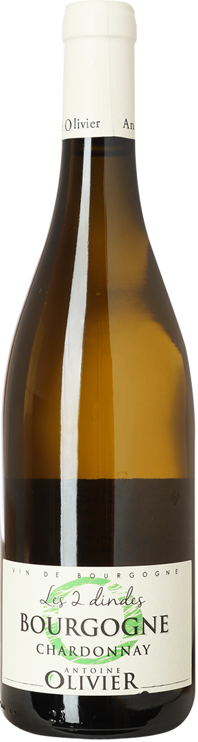 2023 Bourgogne Blanc, Les 2 dindes, Domaine Antoine Olivier