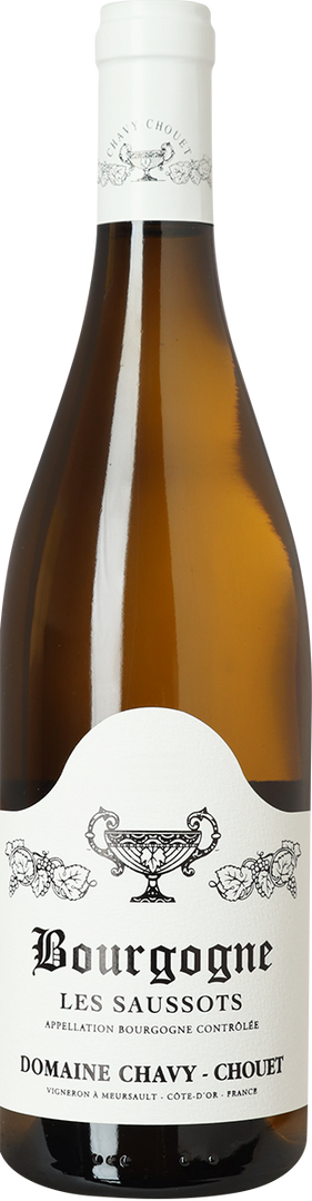 2023 Bourgogne Blanc Saussots, Domaine Chavy-Chouet - Bottle Hero
