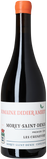 2023 Morey-Saint-Denis, Les Chenevery 1.Cru, Domaine Didier Amiot - Bottle Hero
