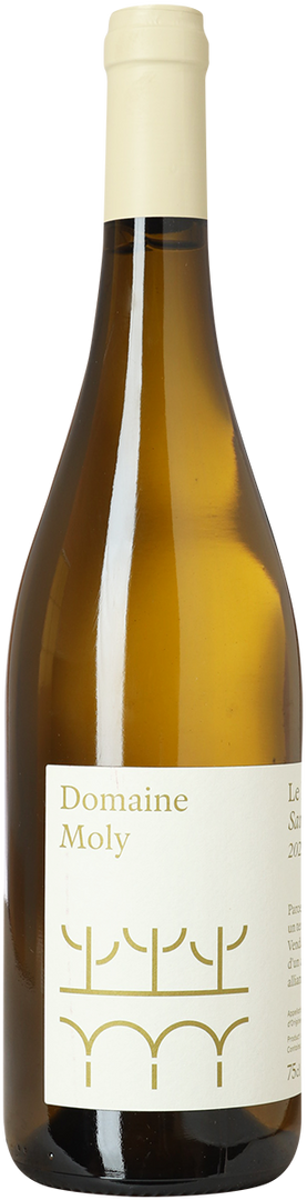 2023 Saumur Blanc Le Bruit, Domaine Moly - Bottle Hero