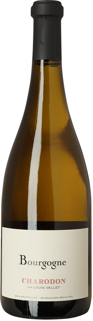 2024 Bourgogne Blanc, Château de Charodon - Bottle Hero