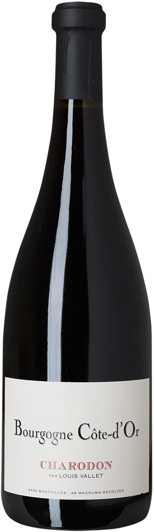 2024 Bourgogne Cote d'Or Rouge, Château de Charodon - Bottle Hero
