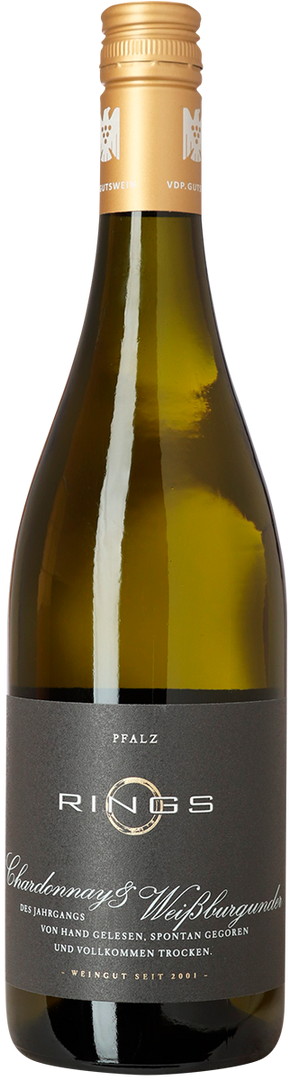 2024 Chardonnay & Weissburgunder, Weingut Rings, Pfalz