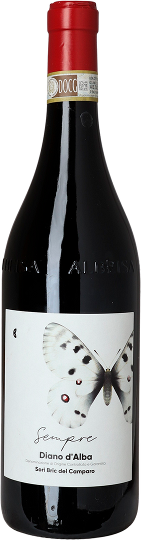 2024 Diano d'Alba Dolcetto, Sori Bric del Camparo, Piemonte - Bottle Hero