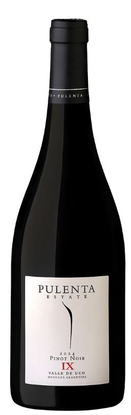 2024 Pinot Noir, Mendoza, Pulenta Estate - Bottle Hero
