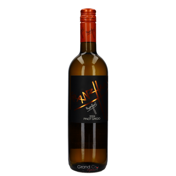 2025 Franz Haas Pinot Grigio Alto Adige - Bottle Hero