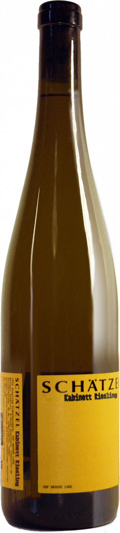 Weingut Schätzel, Riesling Kabinett BIO, 2021 - Bottle Hero