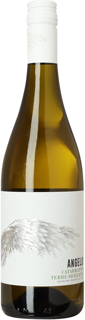 2025 Angelo Catarratto, Sicilia IGT