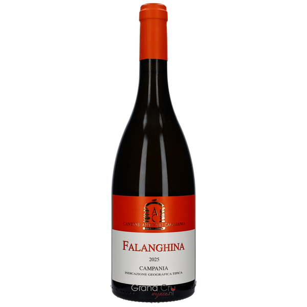 2025 Antonio Caggiano Falanghina Campania