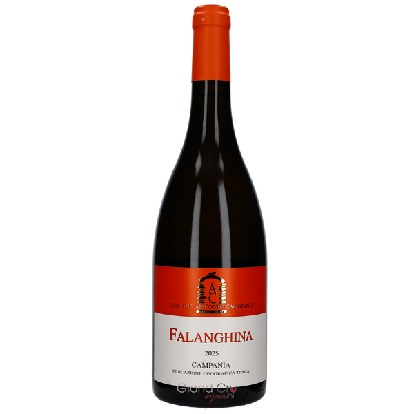 2025 Antonio Caggiano Fiagre Campania Bianco