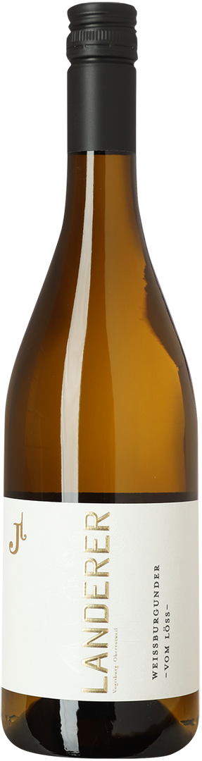 2025 Weissburgunder Vom Löss, Weingut Landerer, Baden - Bottle Hero