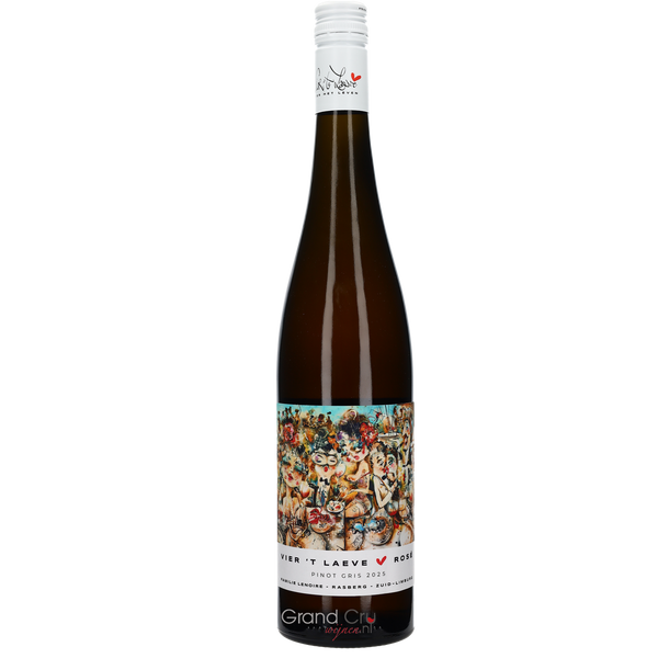 2025 Wijngoed Lenoire Vier 't Laeve Rosé - Bottle Hero