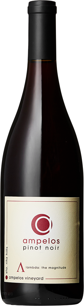 Ampelos Cellars, Pinot Noir Lambda, 2021 - Bottle Hero