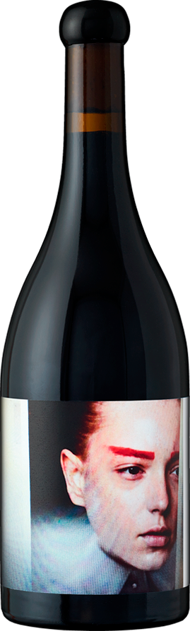 Orin Swift Cellars, L’usine Santa Rita Hills Pinot Noir, 2019 - Bottle Hero