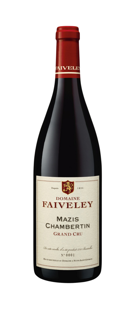 2019 Domaine Faiveley Mazis Chambertin Grand Cru Magnum - Bottle Hero