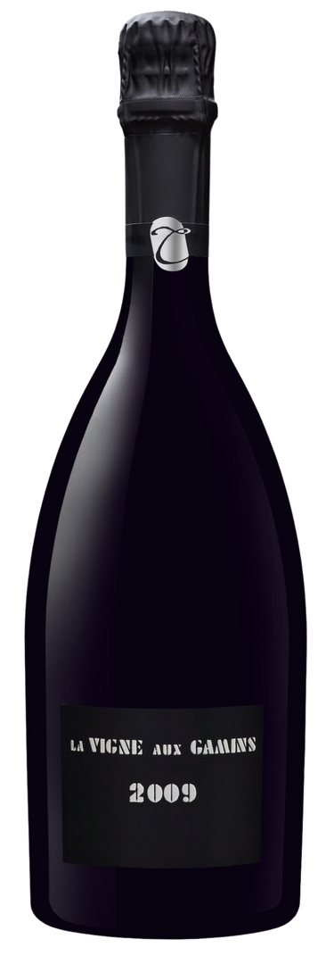 2013 Champagne Thiénot La Vigne Aux Gamins Magnum - Bottle Hero