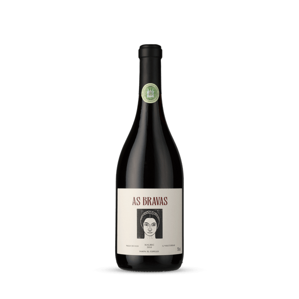 El Enemigo, As Bravas Pampa El Cepillo Malbec 2017 - Bottle Hero