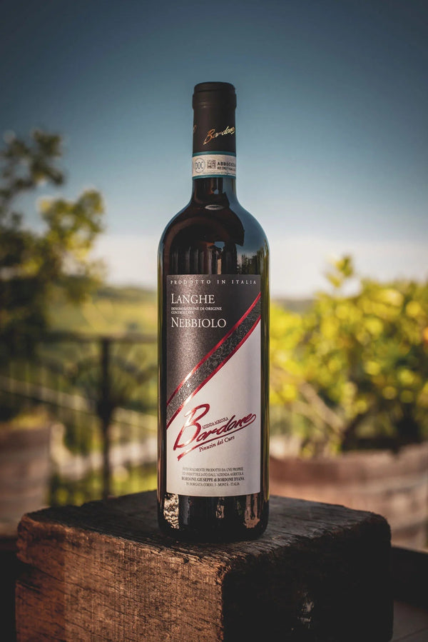 Langhe Nebbiolo 2024 - Bottle Hero