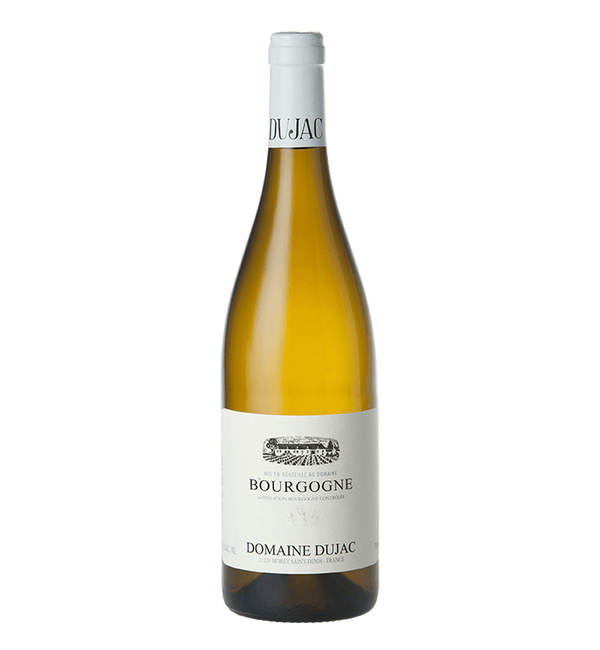 Domaine Dujac Bourgogne Blanc 2009 - Bottle Hero