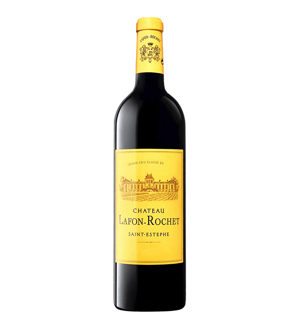 Château Lafon-Rochet 2009 - Bottle Hero