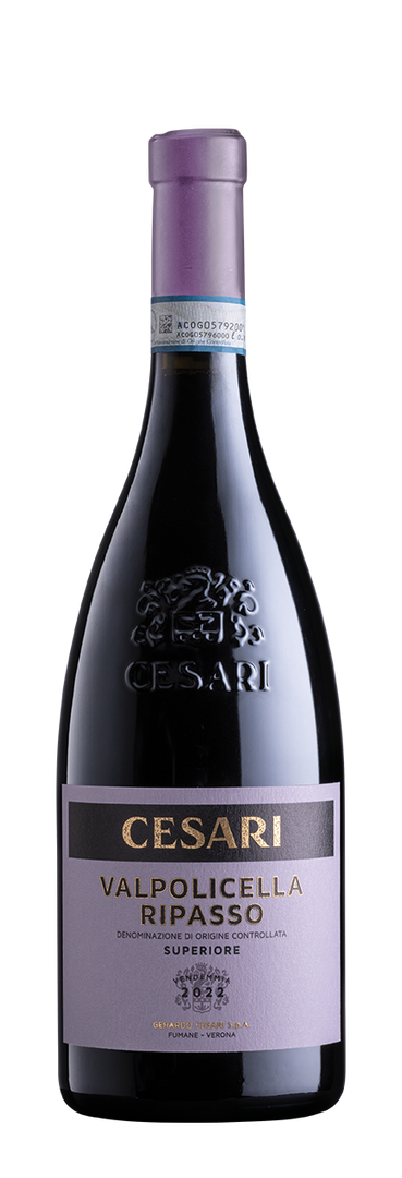 Cesari Valpolicella Ripasso DOC Superiore 2022 - Bottle Hero